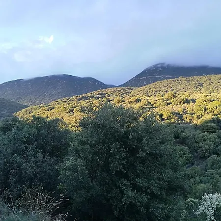 Elafos 3*