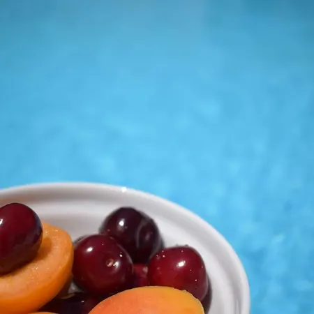 Elafos Ξενοδοχείο Ελληνικό